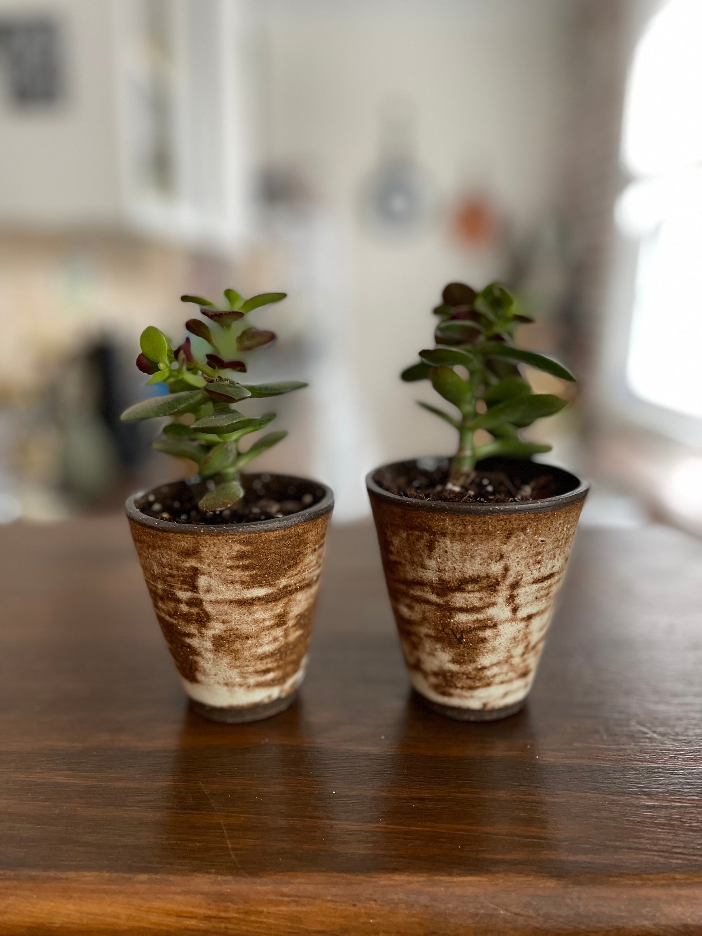 A. Small cups or planters