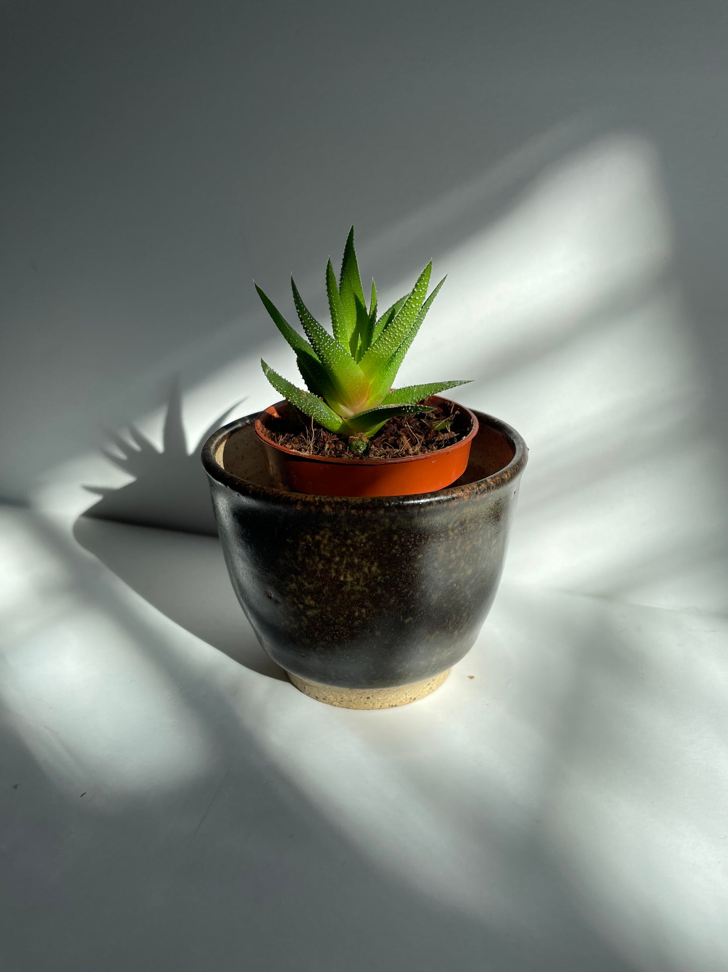 Temmoku planter