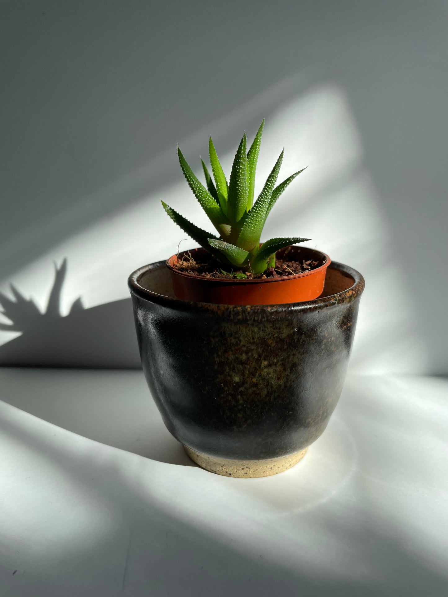 Temmoku planter