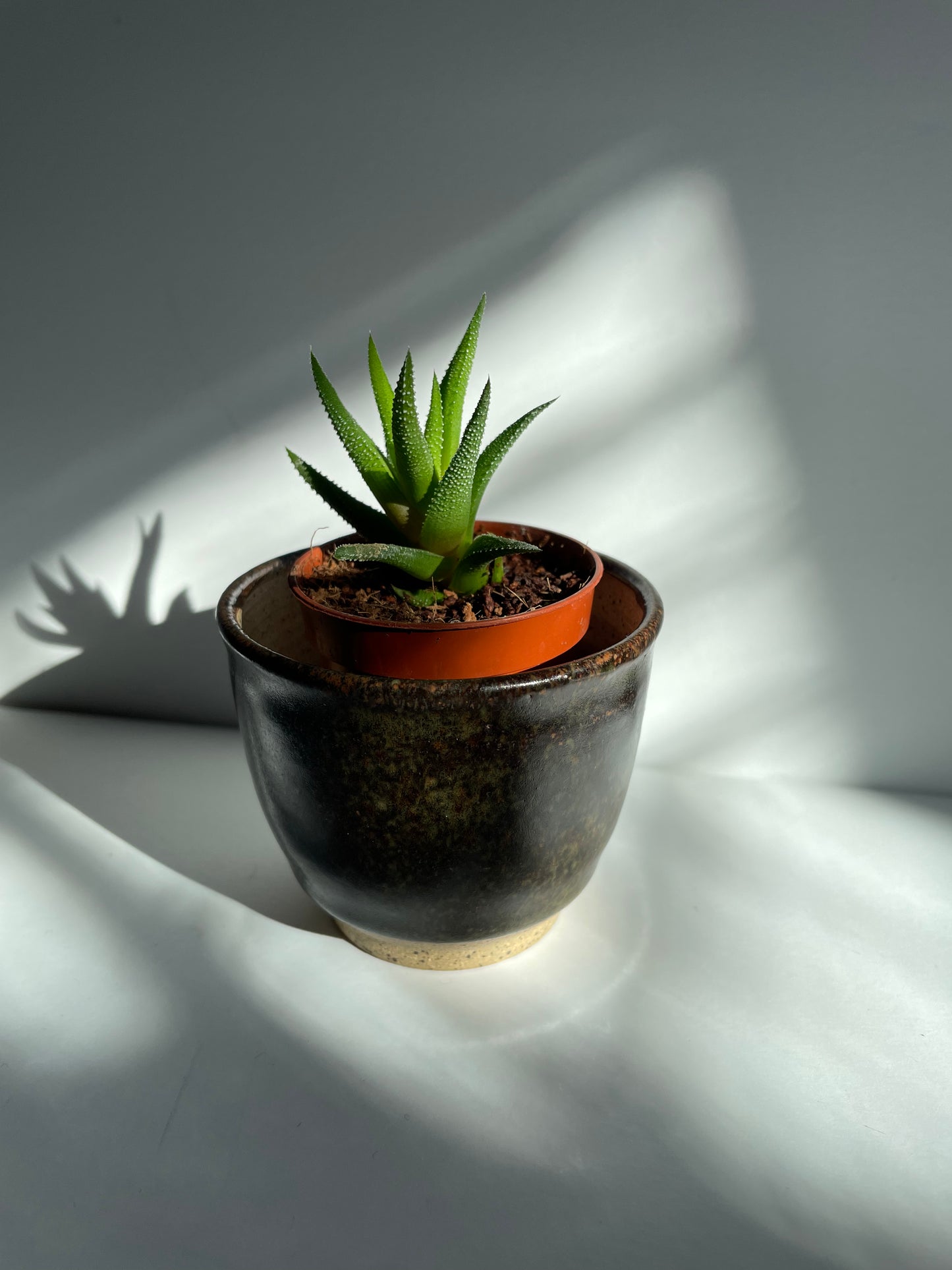 Temmoku planter